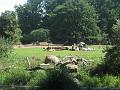 Zoo Cottbus 139